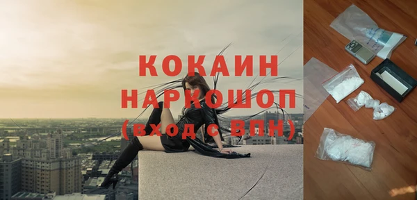 дмт Елизово