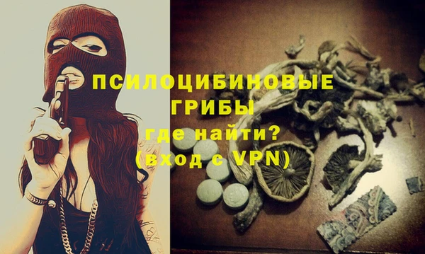 jwh Ельня