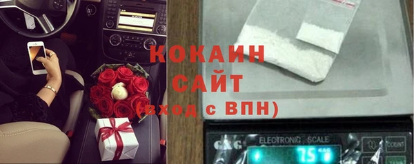 дмт Елизово