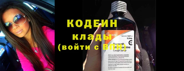 дмт Елизово
