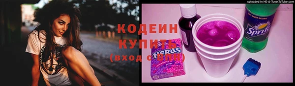 дмт Елизово