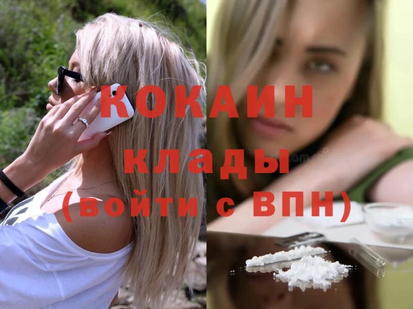 дмт Елизово