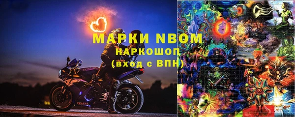 дмт Елизово