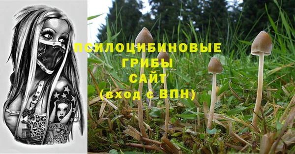 Альфа ПВП Елабуга