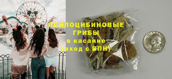 jwh Ельня