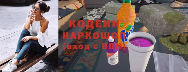 дмт Елизово
