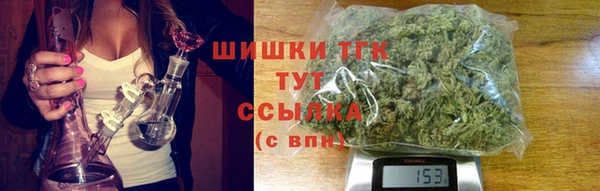 дмт Елизово