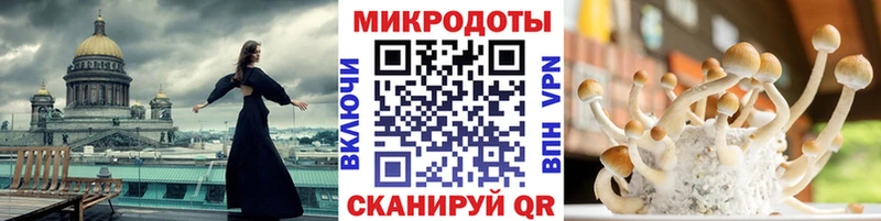 Галлюциногенные грибы Psilocybe Купить где Павловский Посад